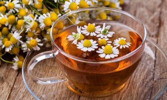 Indicaţiile terapeutice ale muşeţelului. Ce afecțiuni tratează această plantă