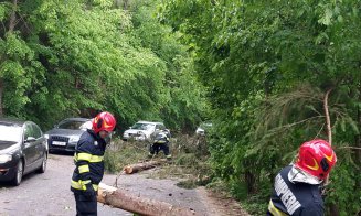 Furtună la Cluj! Traficul este blocat pe drumul din apropierea lacului Tarnița