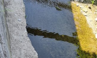 Poluare pe un afluent al Someșului
