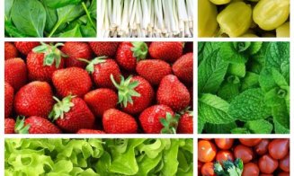 Cât costă fructele și legumele, direct de la producători. Uite cu cât iei cireșe, căpșuni sau roșii oltenești la piaţa din Dezmir
