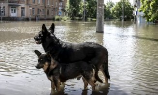 Biologi români, după bombardarea barajului din Ucraina: Urmează un DEZASTRU ECOLOGIC în Marea Neagră” / Ministrul Mediului: „Puțin probabil”