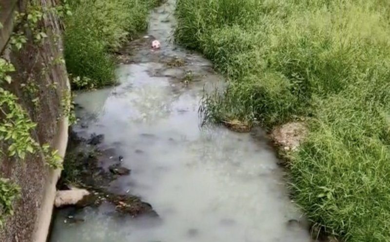 Un afluent al Someșului a fost poluat cu resturi provenite din construcții. „Apa avea un aspect albicios”
