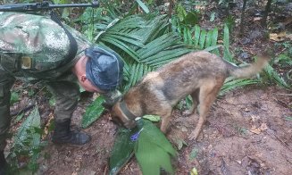 Lesly (13 ani), Soleiny (9 ani), Tien Noriel (5 ani) şi Cristin (1 an) au supravieţuit prăbuşirii unui avion şi alte 40 de zile, rătăcind în jungla co