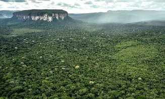 Lesly (13 ani), Soleiny (9 ani), Tien Noriel (5 ani) şi Cristin (1 an) au supravieţuit prăbuşirii unui avion şi alte 40 de zile, rătăcind în jungla co