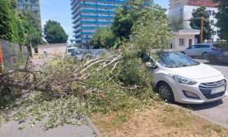 Copac căzut peste o mașină în Gheorgheni. Și încă nu a venit furtuna anunțată...