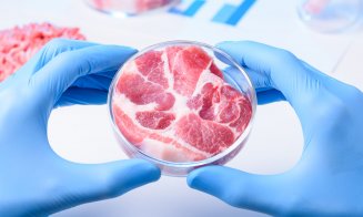 Două companii au primit aprobare pentru a comercializa carne cultivată în laborator