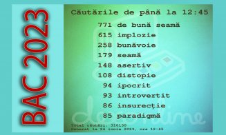 Anchetă, după ce un subiect de la BAC a fost căutat pe internet cu o seară înainte de examen