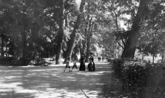 O duminică de vară, anul 1910, în centrul Clujului
