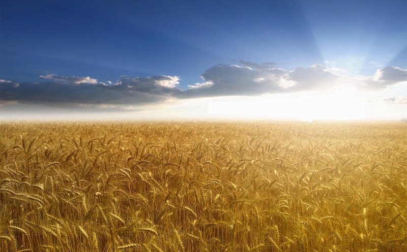 Prognoza până la jumătatea lunii iulie. Cu ce temperaturi începe luna lui Cuptor