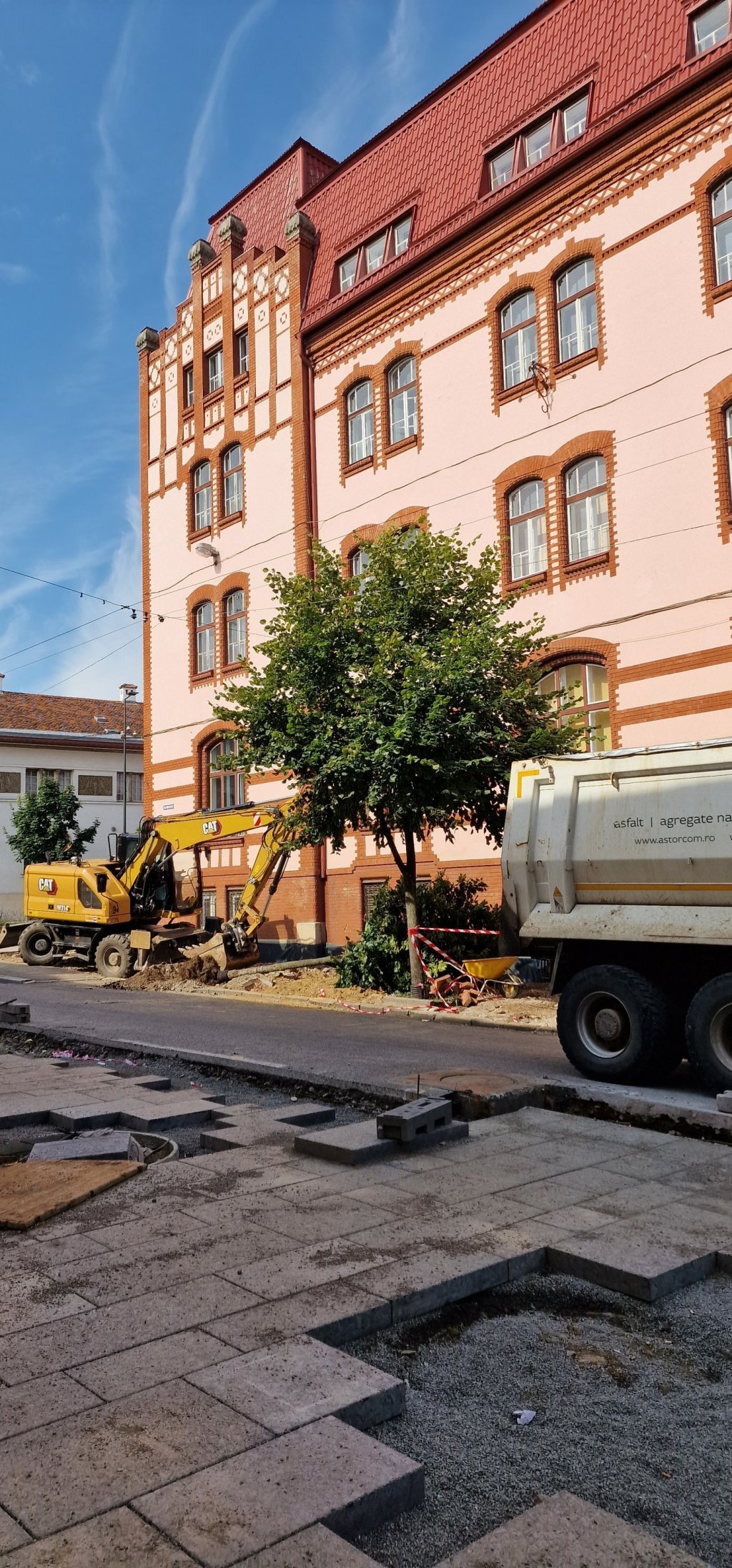 Dezbatere publică pe tema copacilor de pe strada Universității și Kogălniceanu, AZI!