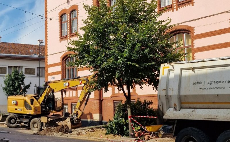 Dezbatere publică pe tema copacilor de pe strada Universității și Kogălniceanu, AZI!