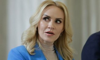 Firea, chemată la Guvern în urma scandalului legat de centrele pentru bătrâni din Voluntari