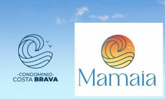 Prim-vicepreședintele PSD Cluj-Napoca, ''țeapă'' de 20.000 euro pentru logo-ul Mamaia / Putea fi descărcat cu 16 euro de pe net