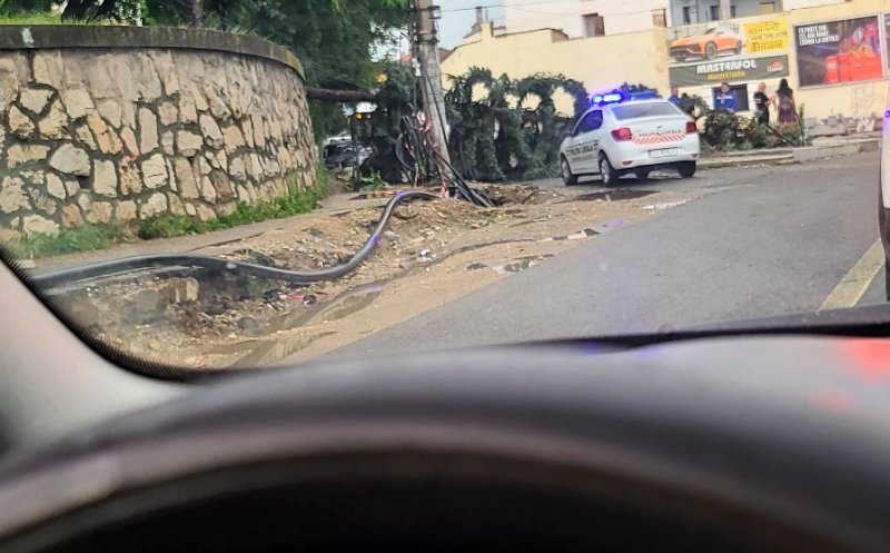 Urmările furtunii din Cluj! Copaci căzuți peste mașini și pe mai multe drumuri