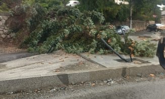 Urmările furtunii din Cluj! Copaci căzuți peste mașini și pe mai multe drumuri