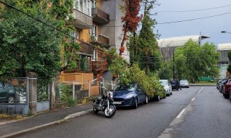 Urmările furtunii din Cluj! Copaci căzuți peste mașini și pe mai multe drumuri