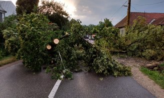 Zeci de copaci doborâţi de vijelie, inundaţii, incendii: Bilanțul intervențiilor ISU după furtuna de la Cluj