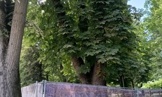 Parcul Central din Cluj, "cucerit" de armata voluntarilor UNTOLD