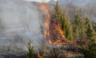 Protecţia Mediului: „Trebuie să oprim arderile de vegetaţie şi să pedepsim piromanii!” Mii de incendii în prima jumătate a anului