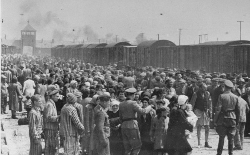 Materie nouă din toamnă - "Istoria Evreilor. Holocaustul". Deca: "Este esențial ca elevii să cunoască această perioadă tragică din istorie"
