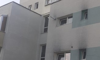S-a umplut Grigorescu de berze! Îşi antrenează puii pentru primul zbor spre ţările calde