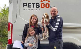 Românii își pot duce animalele de companie în toată Europa, cu ajutorul unei firme de transport animale din Cluj