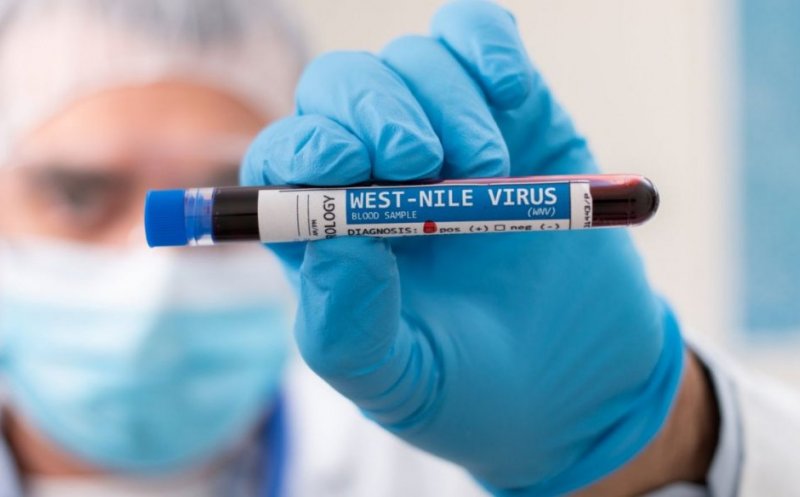 Canicula crește riscul infectărilor cu virusul West Nile! Noi cazuri și decese confirmate în România