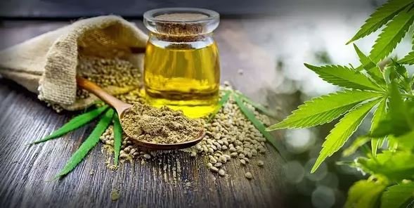 Canabisul şi sănătatea: Situațiile în care ar putea ajuta și ce persoane ar trebui să evite consumul