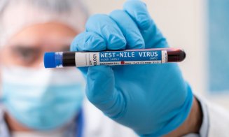 Noi cazuri de infectare cu West Nile în România. Patru persoane au murit