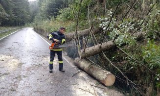 Copaci căzuți pe drum în județul Cluj din cauza furtunii. Pompierii au intrevenit pentru a debloca porțiunile de drum blocate