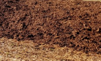 Alin Tişe: "Stopați aruncatul de găinaț / fecale / mortăciuni pe terenurile agricole" / Clujenii: "VĂ RUGĂM MULT FACEȚI CEVA!!"