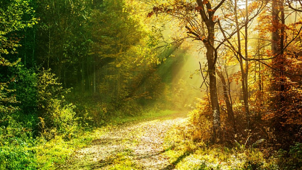 Temperaturile au scăzut simțitor. Se mai întoarce căldura?