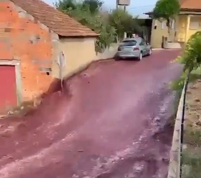 Străzi inundate cu vin în Portugalia. 2,2 milioane de litri au curs pe drum