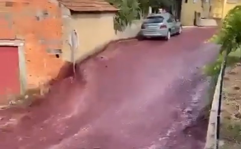 Străzi inundate cu vin în Portugalia. 2,2 milioane de litri au curs pe drum