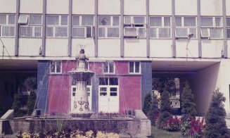 Vechiul Cluj : Fabrica de porţelan Iris