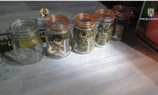 Tânăr de 26 de ani din Cluj, arestat după ce ar fi cultivat canabis