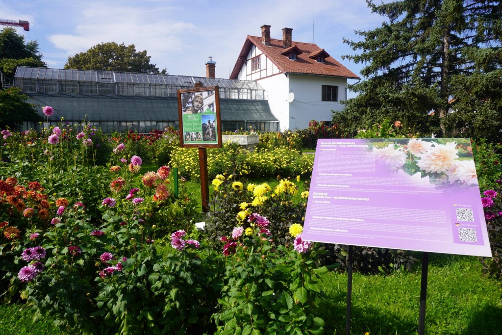 Vârstnicii pot intra gratuit la Grădina Botanică din Cluj-Napoca pe 1 octombrie, cu ocazia Zilei Seniorilor