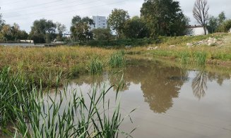 Parcul Feroviarilor, cu puțin timp înainte de deschidere. Someșul nostru: "Decizia salutară a arhitectului a fost de a nu tăia copacii la râu, ch