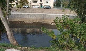 Parcul Feroviarilor, cu puțin timp înainte de deschidere. Someșul nostru: "Decizia salutară a arhitectului a fost de a nu tăia copacii la râu, ch