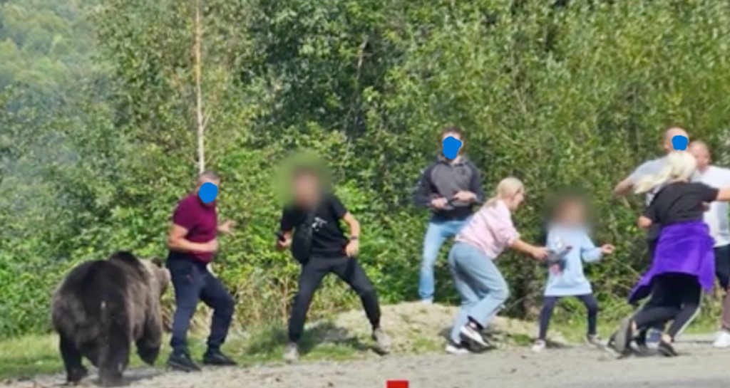 Aproape de o TRAGEDIE din cauza inconștienței. Un grup de turiști a vrut să facă “ședință foto” cu un URS