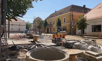 Aviz favorabil pentru soclul tatuii lui Racoviță și a grupului statuar „Școala Ardeleană” / Dispar copacii fața Bisericii Piariste