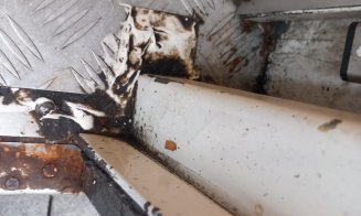 Comisarii ANPC au închis grill-urile Kaufland Cluj. Amenzi de peste 100.000 de lei pentru mizeria, marfa expirată și muștele găsite