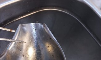 Comisarii ANPC au închis grill-urile Kaufland Cluj. Amenzi de peste 100.000 de lei pentru mizeria, marfa expirată și muștele găsite