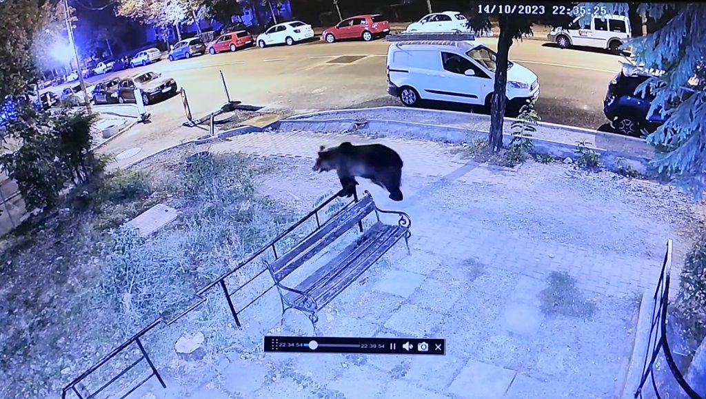 Moş Martin, 3 ore de plimbare prin centrul oraşului Bistriţa. Explicaţiile primăriei după trei zile de la "city-break"