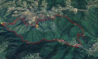 Nou traseu turistic în Apuseni. Are 12 km, 6 puncte de belvedere, este alergabil și este catalogat drept ușor