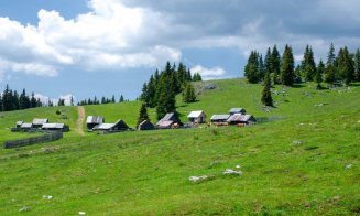 Poiana fermecătoare din Apuseni, vizitată de turiștii din întreaga lume! Este la graniță cu județul Cluj