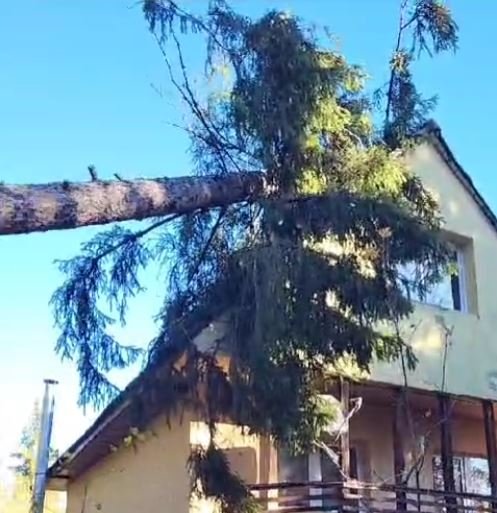 Vântul puternic a făcut pagube la Cluj: Un stâlp de electricitate și un copac, prăbușiți pe două case