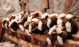 Cei mici pot explora încă o săptămână expoziția interactivă „Vestul Sălbatic” din Iulius Mall Cluj!