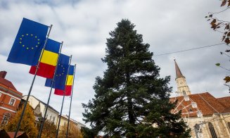 Sărbătorile de iarnă se apropie: a sosit bradul de Crăciun în Piața Unirii!