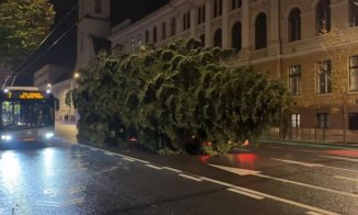 Sărbătorile de iarnă se apropie: a sosit bradul de Crăciun în Piața Unirii!